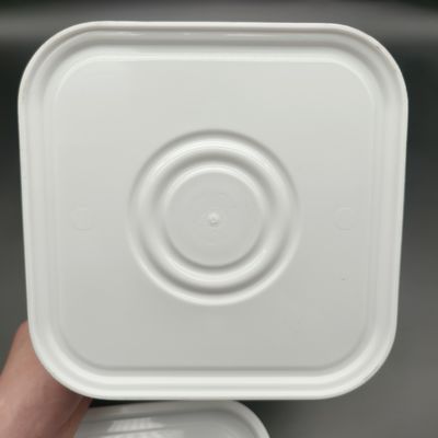 Resistenza alle sostanze chimiche Airproof Bucket Square Plastic Bucket With Lid For Storage Solutions